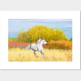 White Horse in Autumn Posters and Art